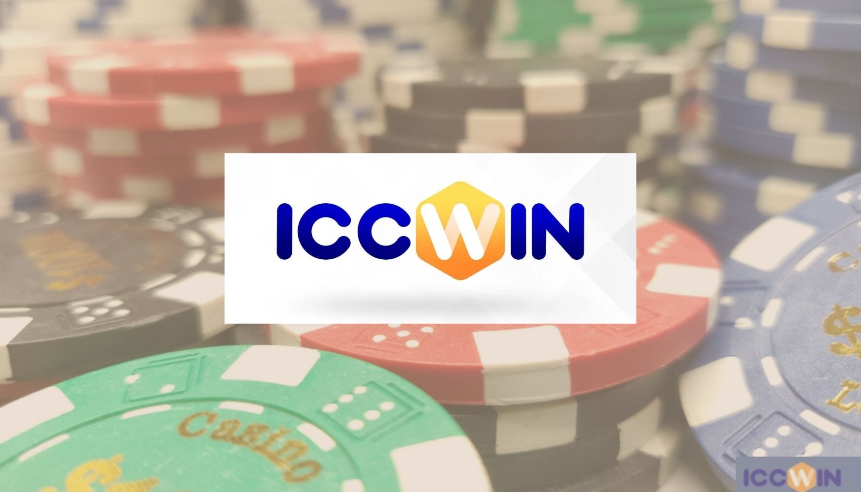 ICCWin sports betting website overview